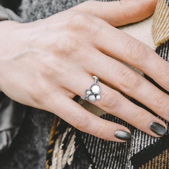 Calvin Klein Jewelry - NWT Calvin Klein Silver Fidget Spinner Ring with dust bag and box